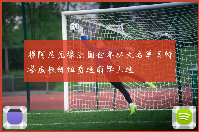 穆阿尼无缘法国世界杯大名单马特塔成教练组首选前锋人选